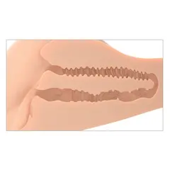 Мастурбатор торс 360 Butt PDX Plus – вагина и анус, 22,4 × 32,5 × 17,8 см, светъл тен